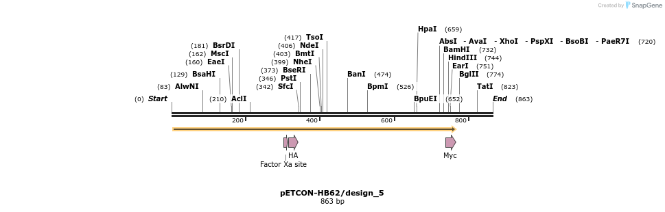 35452_map