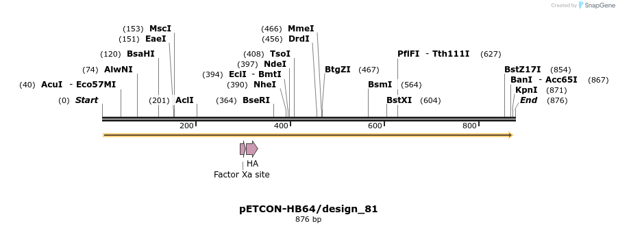 35454_map