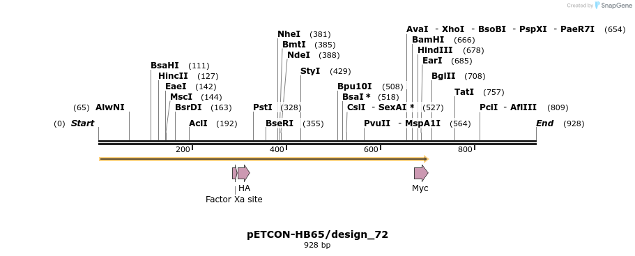 35455_map