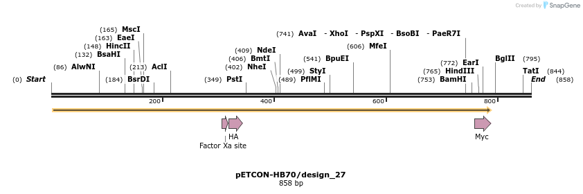 35459_map