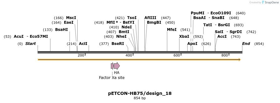35465_map