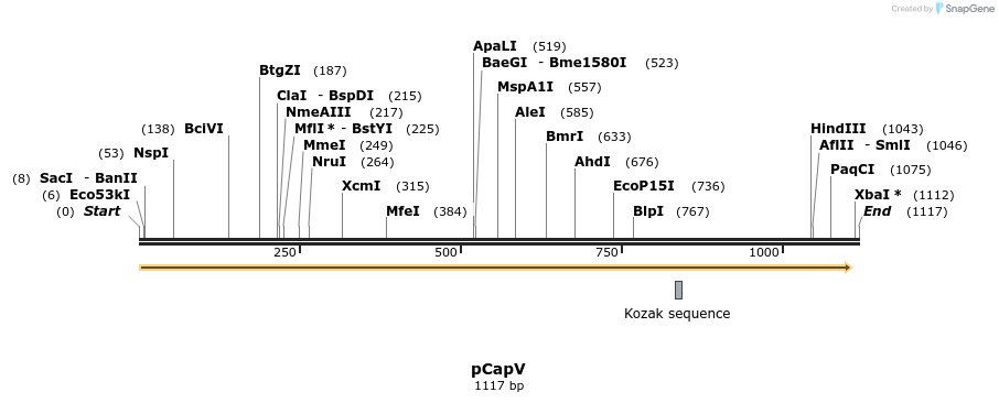 354654_map