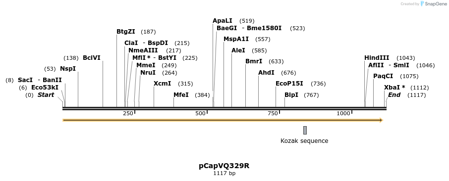 354655_map