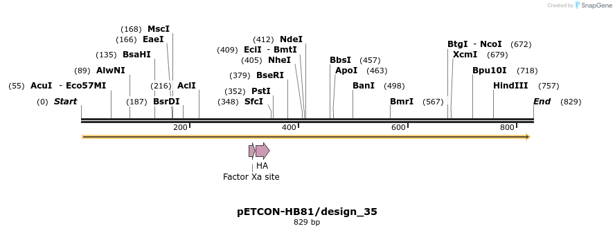 35469_map