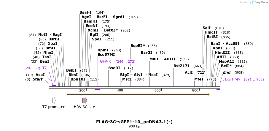 354712_map