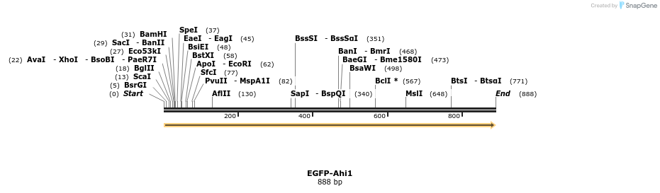35478_map