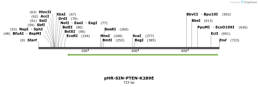 35481_map