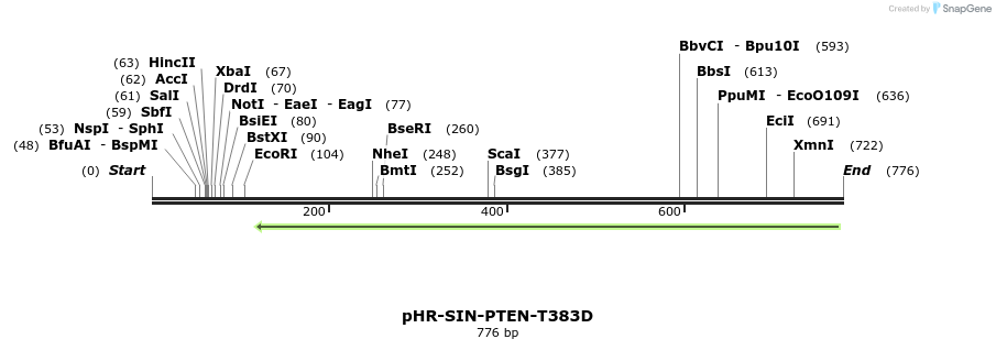 35482_map