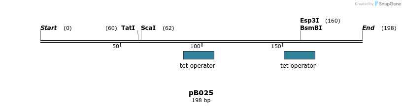354890_map