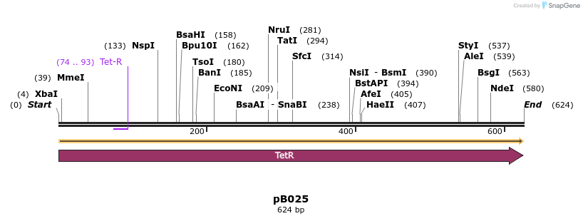 354891_map