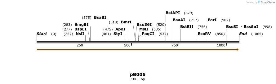 354893_map