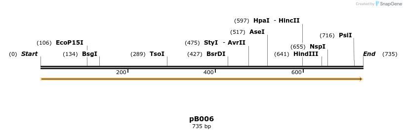 354894_map