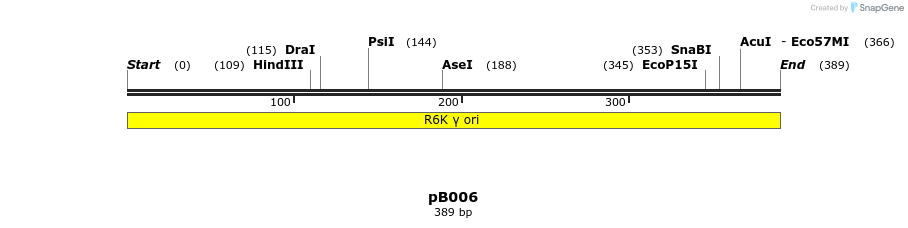354895_map