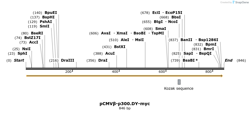 35492_map