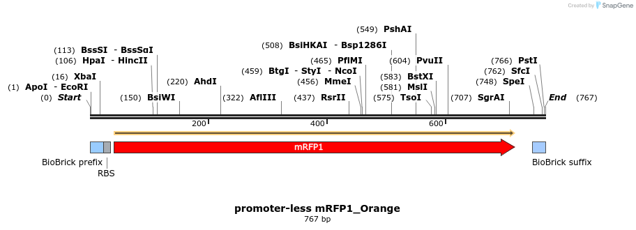 355017_map