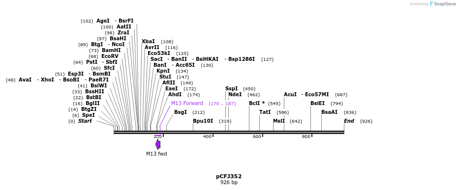 35503_map