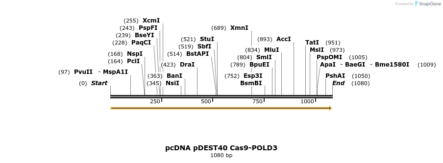 355120_map