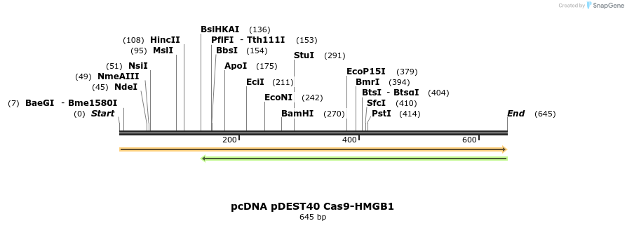 355124_map