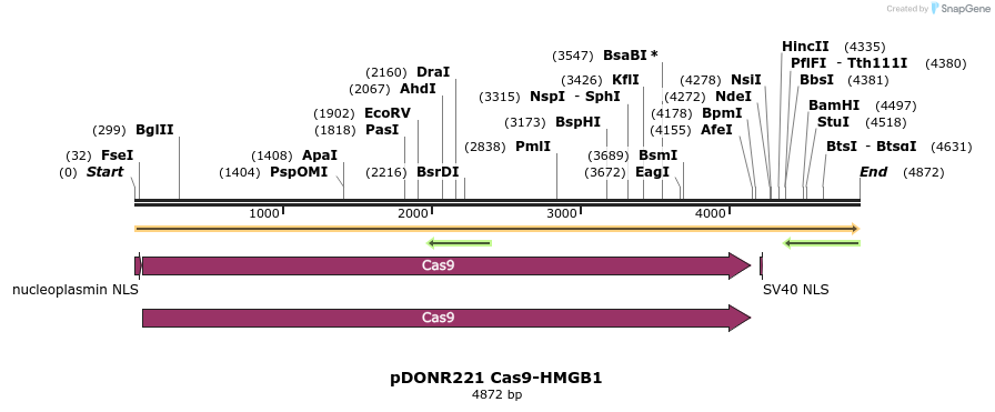 355128_map