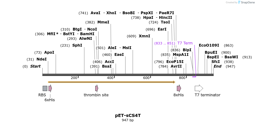 35514_map
