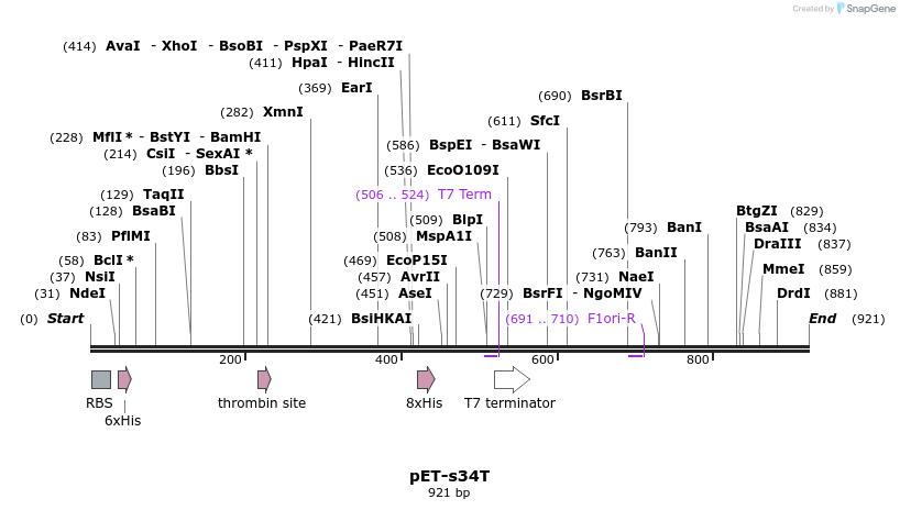 35519_map