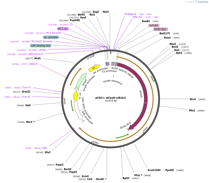 355201_map