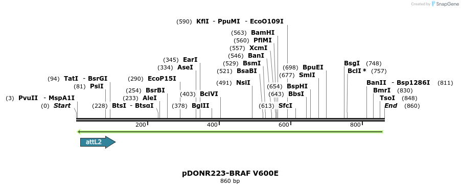 35527_map