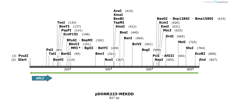 35531_map