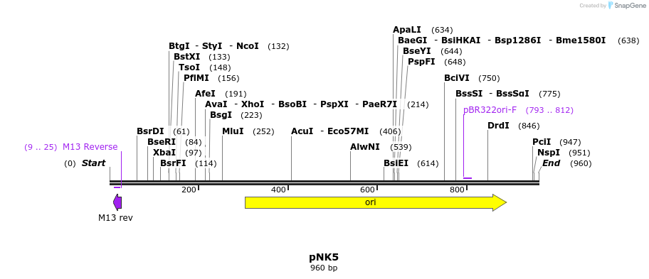 35537_map