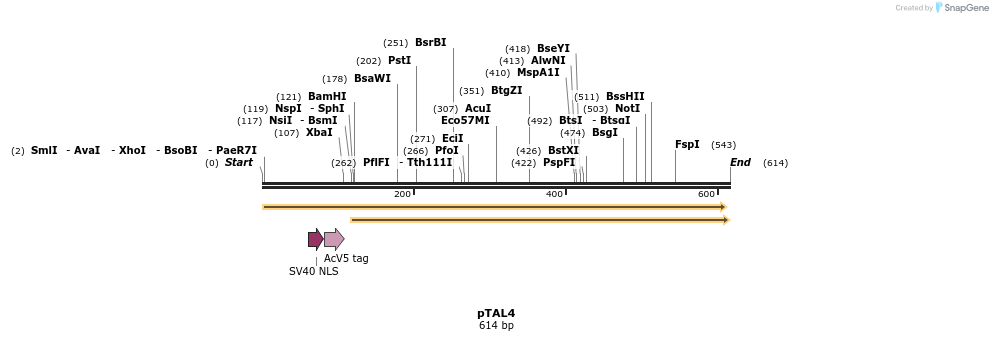 35543_map