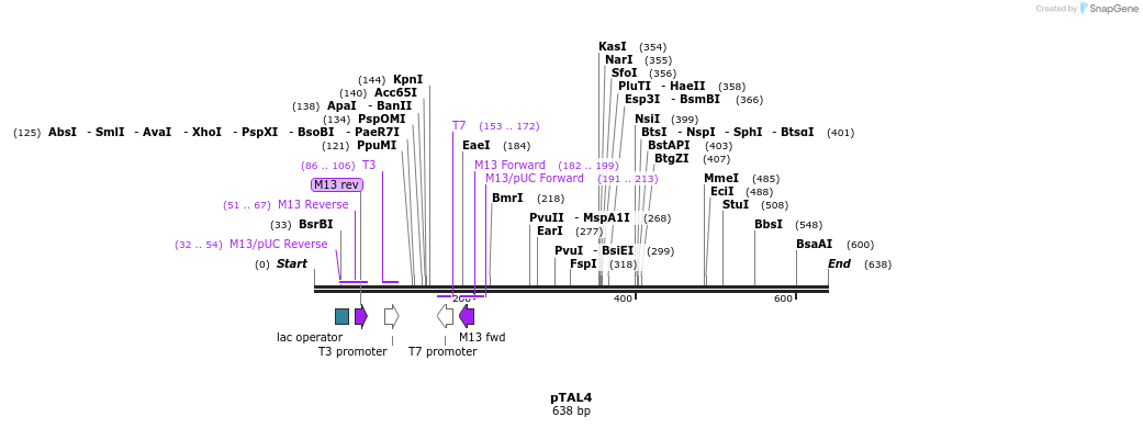 35544_map