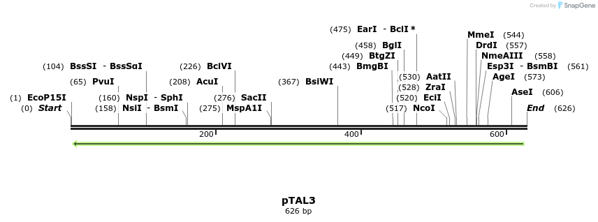 35546_map
