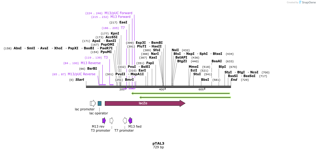 35548_map