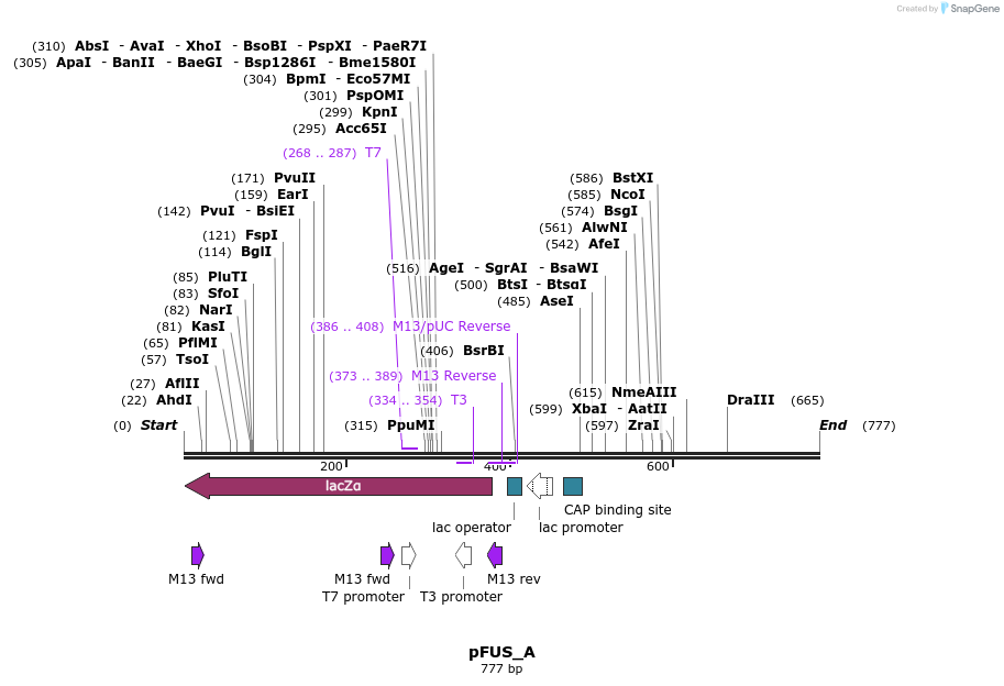 35556_map