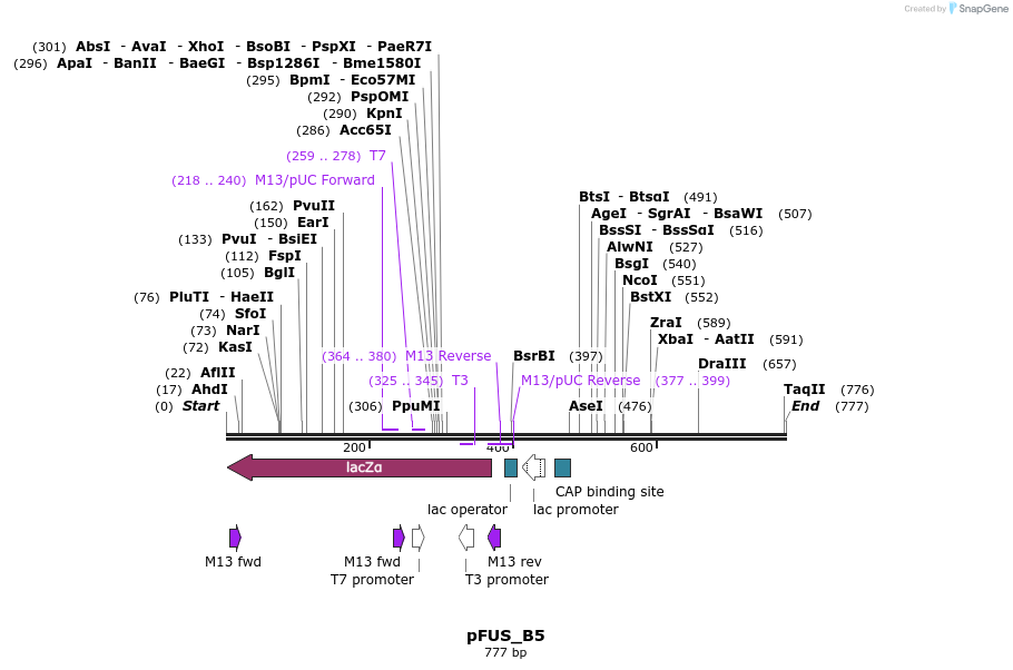 35562_map