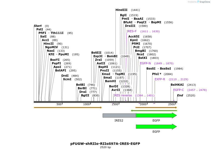 355639_map