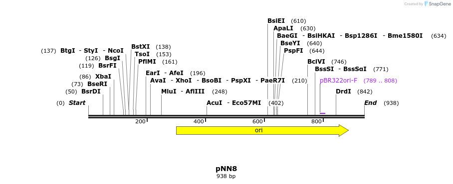 35570_map