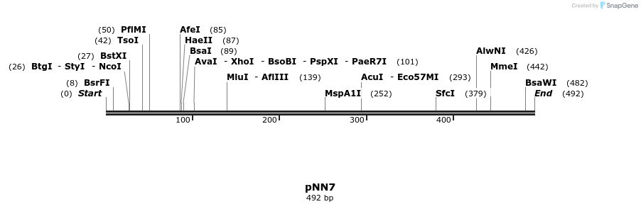 35571_map