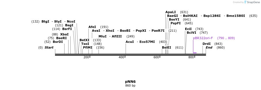 35572_map