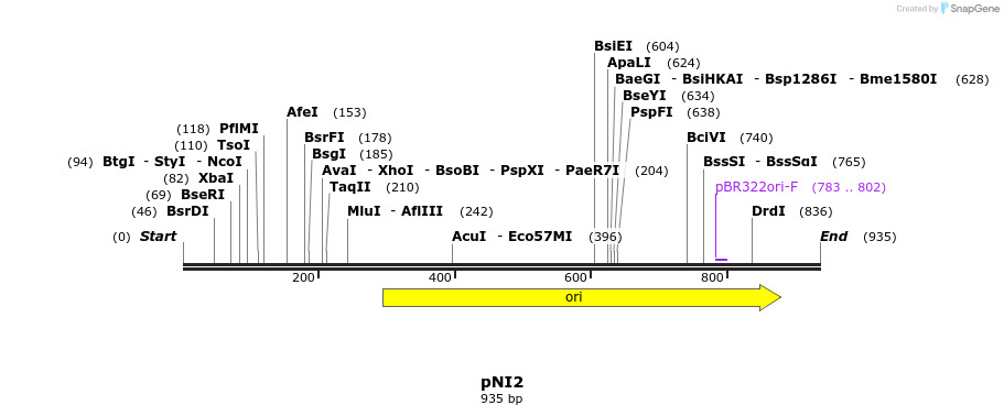 35587_map