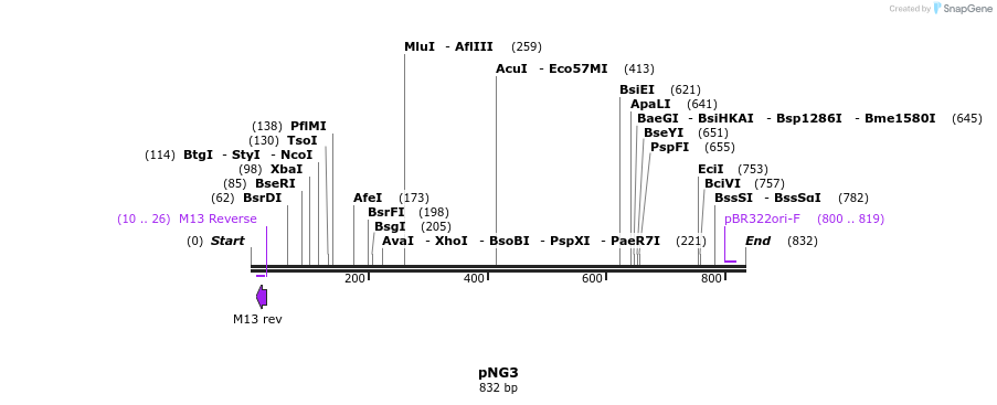 35597_map