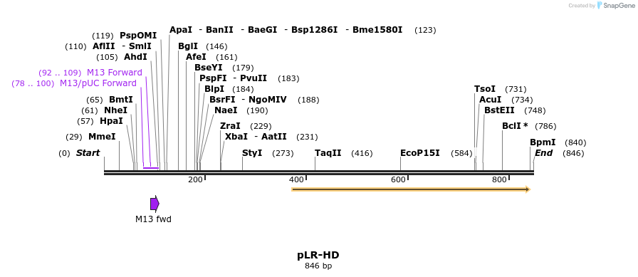 35600_map