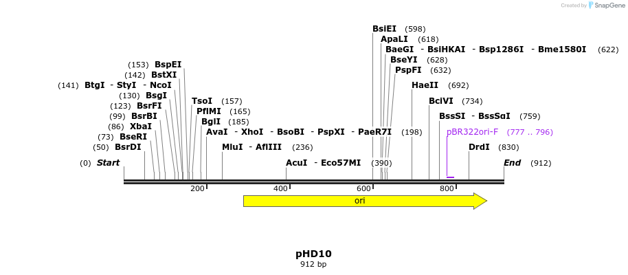 35601_map