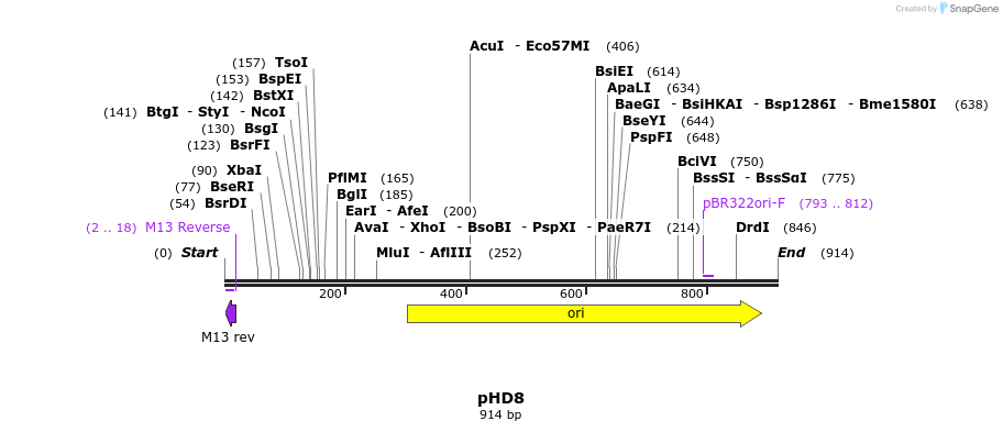 35603_map