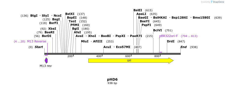 35605_map