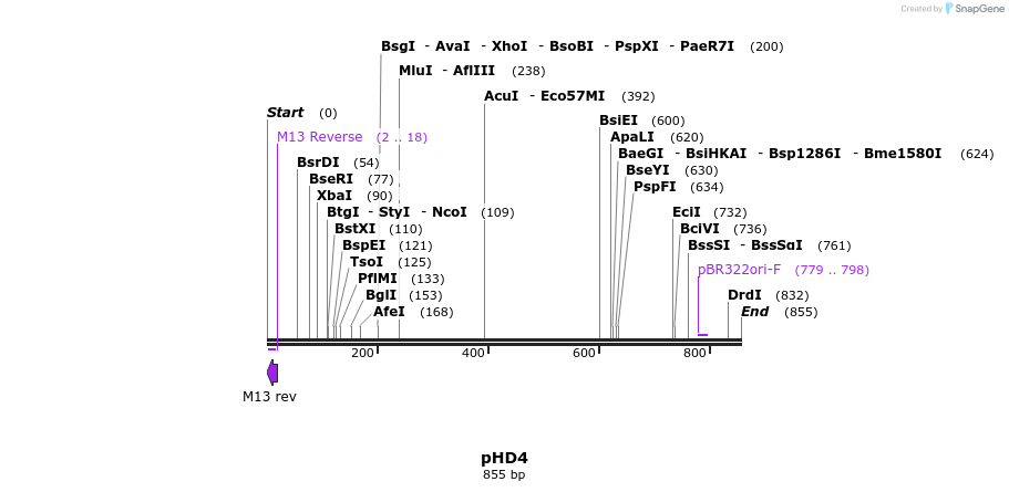 35607_map