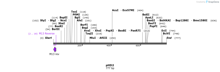 35609_map