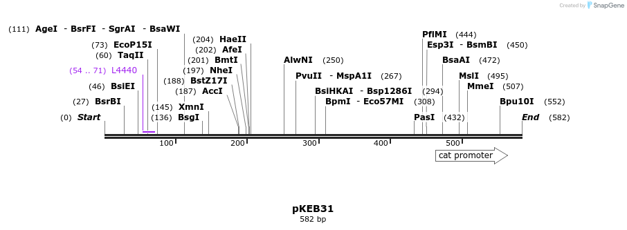 35611_map