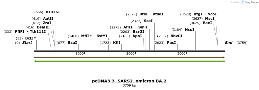 356112_map