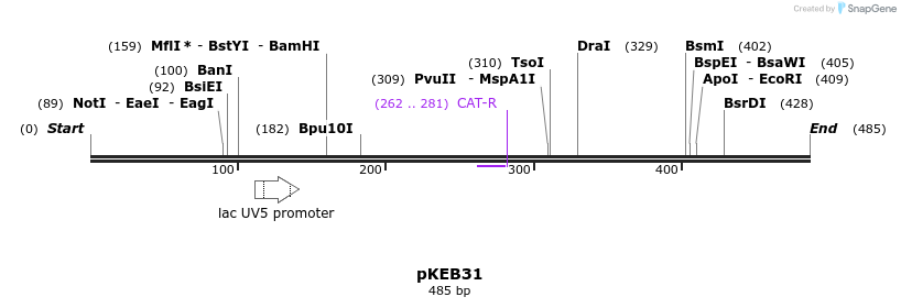 35612_map